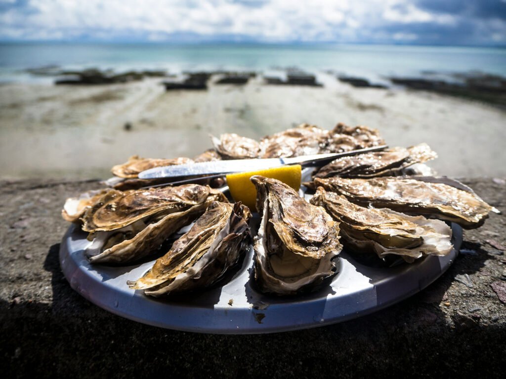 generic-oysters